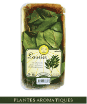 plantes2.png